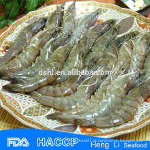 HL002 China exportadores camarão fresco da venda inteira